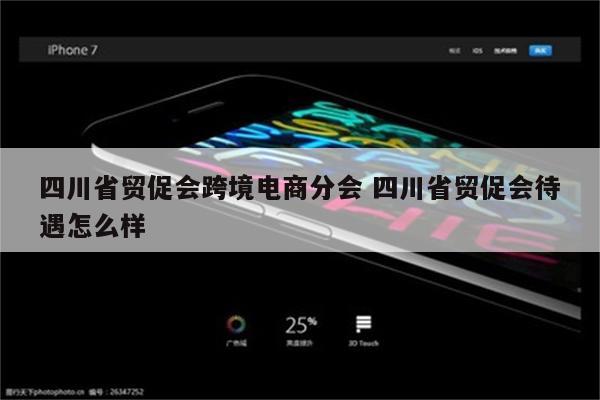 四川省贸促会跨境电商分会 四川省贸促会待遇怎么样
