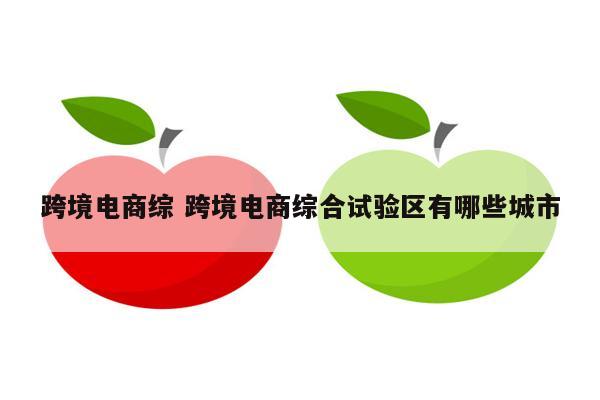 跨境电商综 跨境电商综合试验区有哪些城市