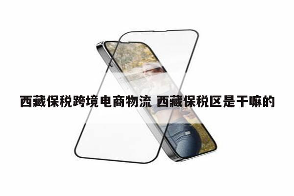 西藏保税跨境电商物流 西藏保税区是干嘛的