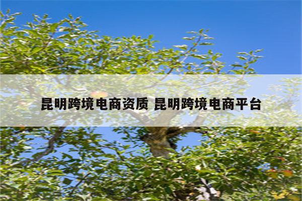 昆明跨境电商资质 昆明跨境电商平台