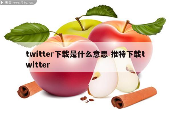 twitter下载是什么意思 推特下载twitter