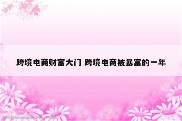 跨境电商财富大门 跨境电商被暴富的一年