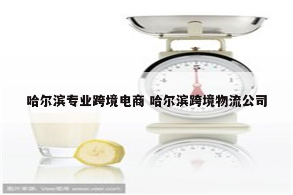 哈尔滨专业跨境电商 哈尔滨跨境物流公司