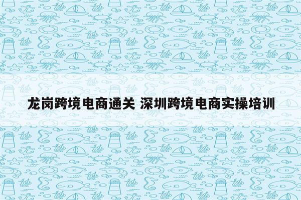 龙岗跨境电商通关 深圳跨境电商实操培训