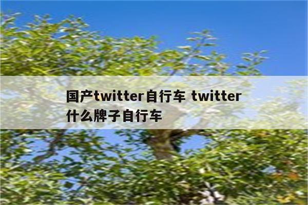 国产twitter自行车 twitter什么牌子自行车