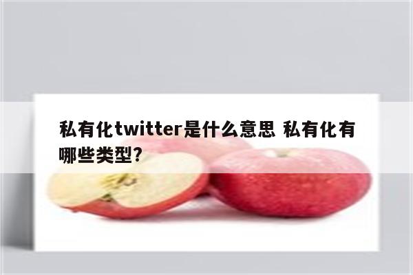 私有化twitter是什么意思 私有化有哪些类型?