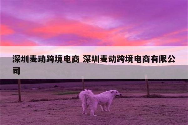 深圳麦动跨境电商 深圳麦动跨境电商有限公司