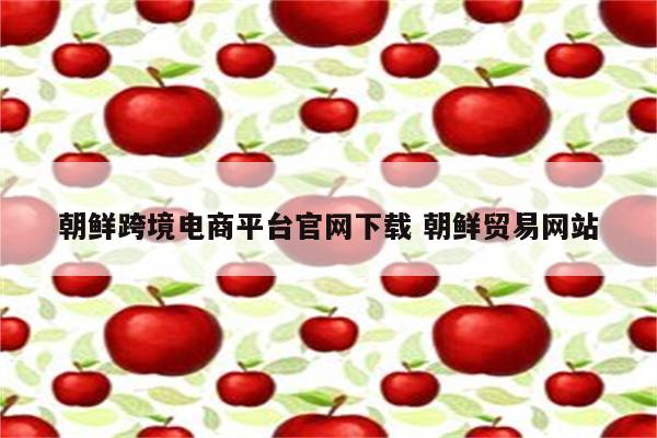 朝鲜跨境电商平台官网下载 朝鲜贸易网站