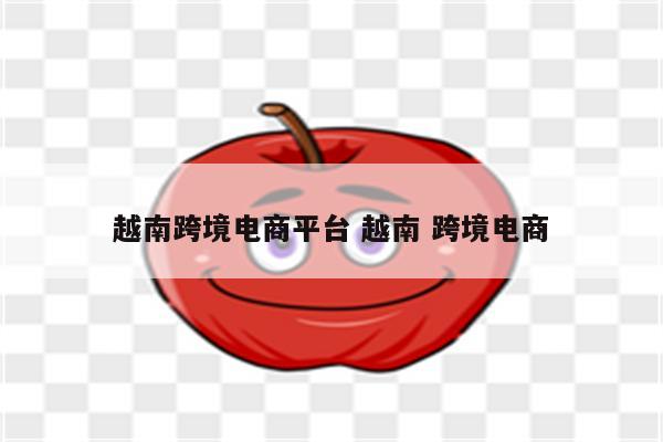 越南跨境电商平台 越南 跨境电商