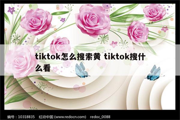tiktok怎么搜索黄 tiktok搜什么看