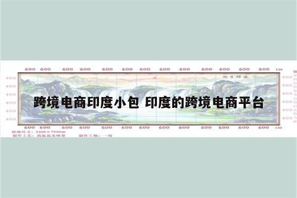 跨境电商印度小包 印度的跨境电商平台