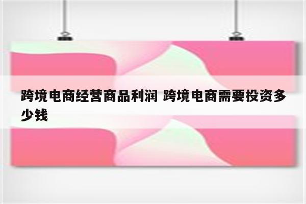 跨境电商经营商品利润 跨境电商需要投资多少钱