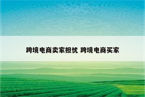 跨境电商卖家担忧 跨境电商买家
