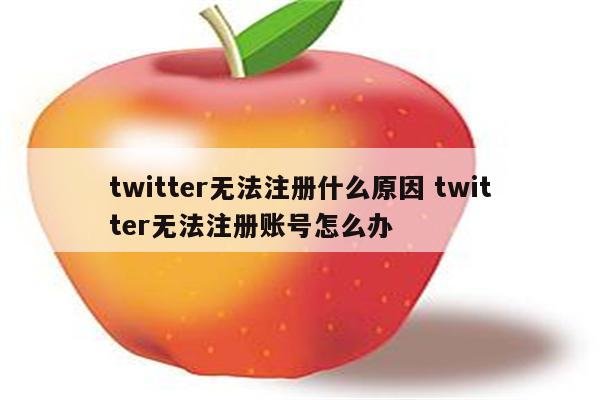 twitter无法注册什么原因 twitter无法注册账号怎么办