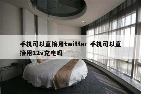 手机可以直接用twitter 手机可以直接用12v充电吗