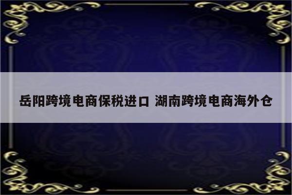 岳阳跨境电商保税进口 湖南跨境电商海外仓