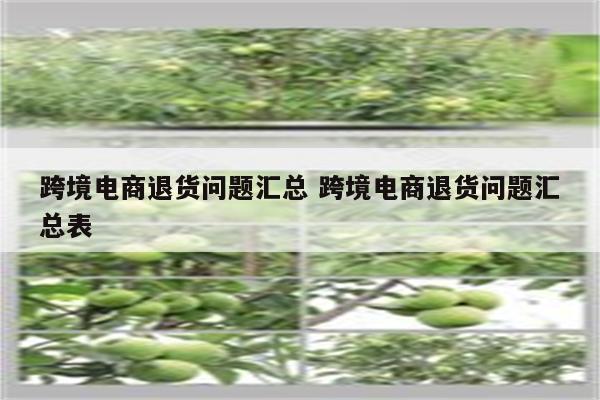 跨境电商退货问题汇总 跨境电商退货问题汇总表
