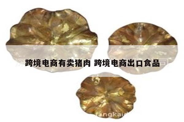 跨境电商有卖猪肉 跨境电商出口食品