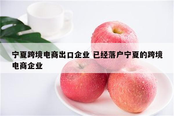 宁夏跨境电商出口企业 已经落户宁夏的跨境电商企业