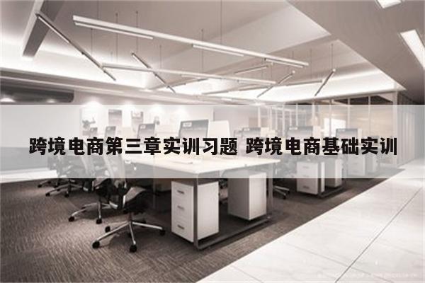 跨境电商第三章实训习题 跨境电商基础实训