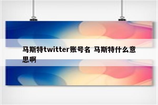 马斯特twitter账号名 马斯特什么意思啊