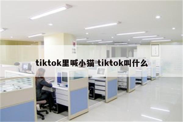 tiktok里喊小猫 tiktok叫什么
