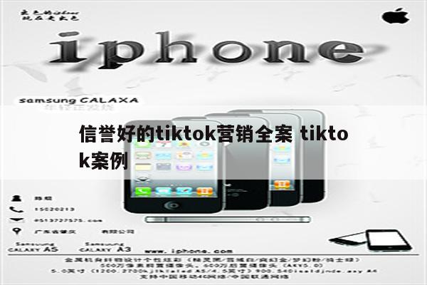 信誉好的tiktok营销全案 tiktok案例