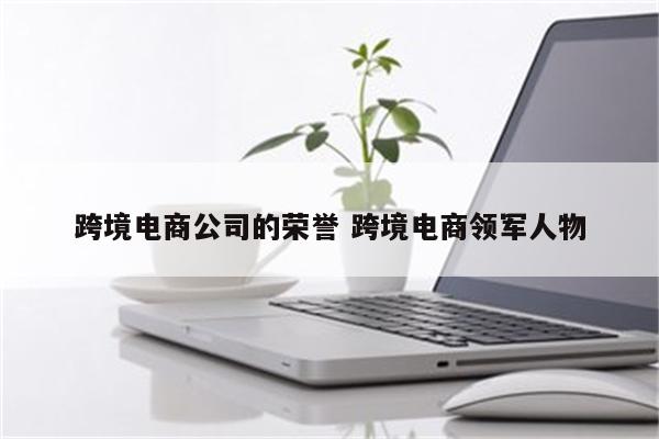 跨境电商公司的荣誉 跨境电商领军人物