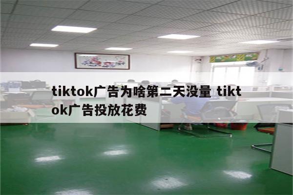 tiktok广告为啥第二天没量 tiktok广告投放花费