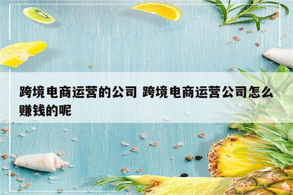 跨境电商运营的公司 跨境电商运营公司怎么赚钱的呢