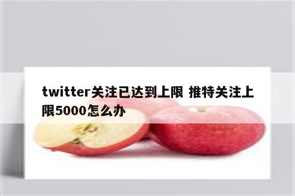 twitter关注已达到上限 推特关注上限5000怎么办