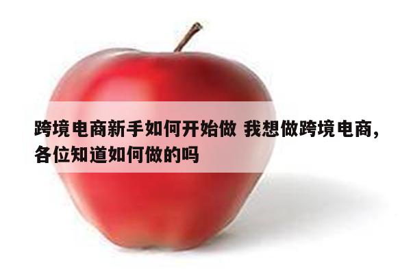 跨境电商新手如何开始做 我想做跨境电商,各位知道如何做的吗