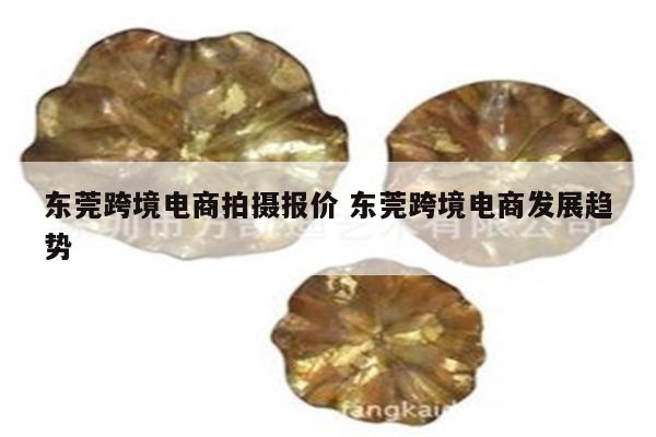东莞跨境电商拍摄报价 东莞跨境电商发展趋势
