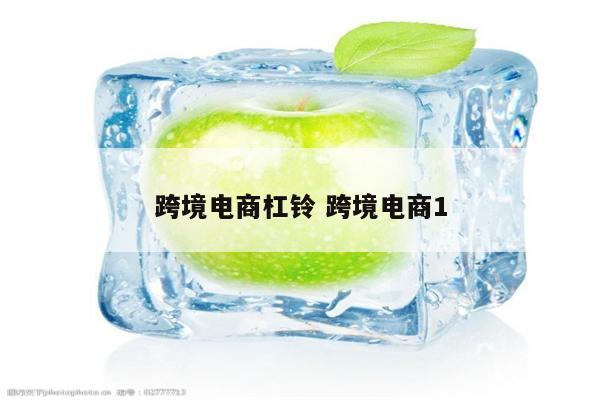 跨境电商杠铃 跨境电商1
