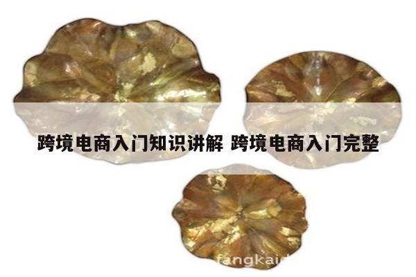 跨境电商入门知识讲解 跨境电商入门完整