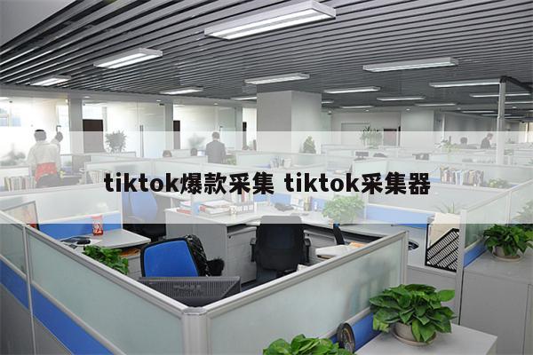 tiktok爆款采集 tiktok采集器