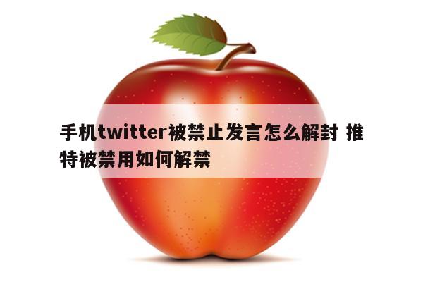 手机twitter被禁止发言怎么解封 推特被禁用如何解禁