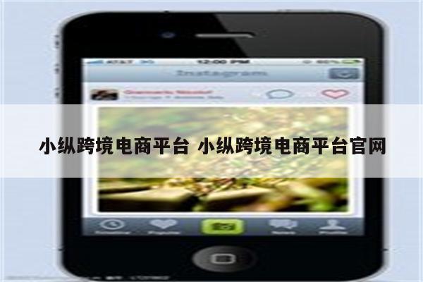 小纵跨境电商平台 小纵跨境电商平台官网