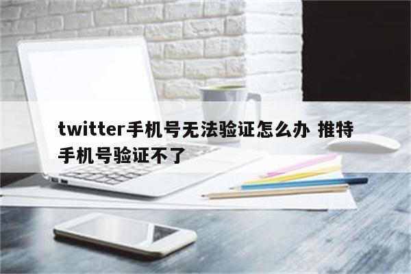 twitter手机号无法验证怎么办 推特手机号验证不了
