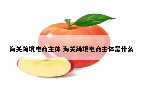 海关跨境电商主体 海关跨境电商主体是什么