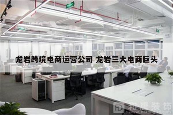 龙岩跨境电商运营公司 龙岩三大电商巨头