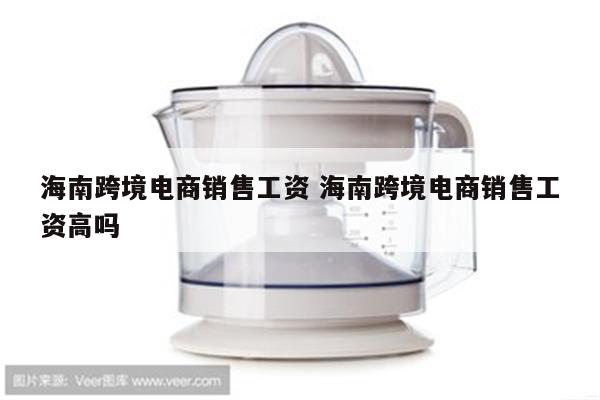 海南跨境电商销售工资 海南跨境电商销售工资高吗