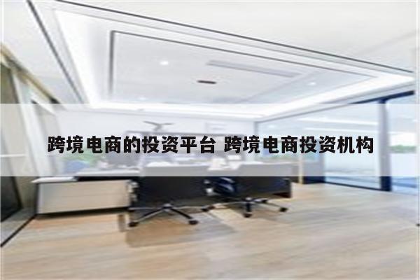 跨境电商的投资平台 跨境电商投资机构