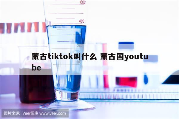 蒙古tiktok叫什么 蒙古国youtube