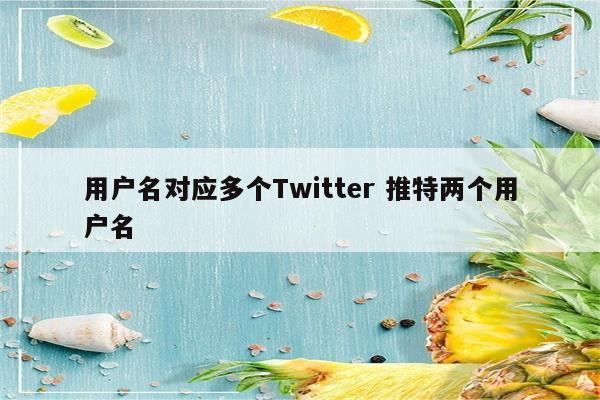 用户名对应多个Twitter 推特两个用户名
