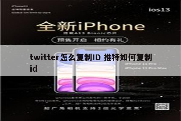 twitter怎么复制ID 推特如何复制id