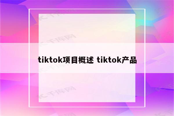 tiktok项目概述 tiktok产品