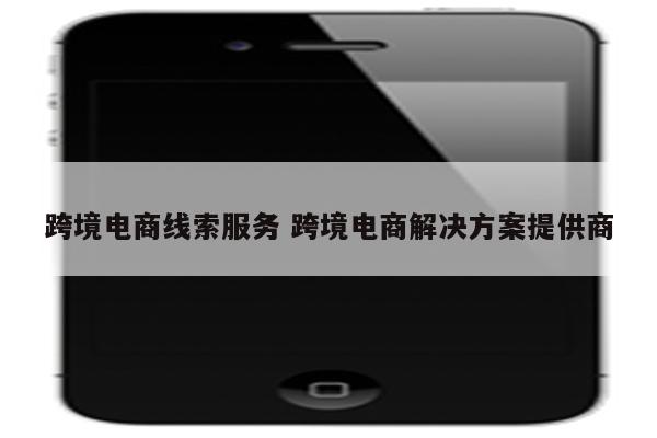 跨境电商线索服务 跨境电商解决方案提供商