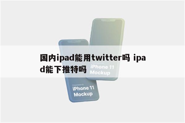 国内ipad能用twitter吗 ipad能下推特吗