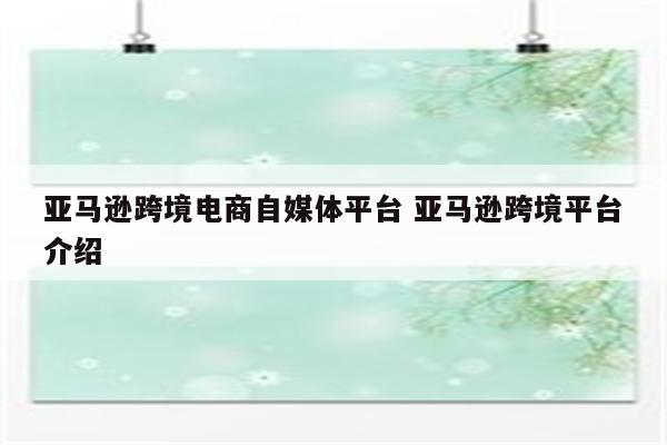 亚马逊跨境电商自媒体平台 亚马逊跨境平台介绍